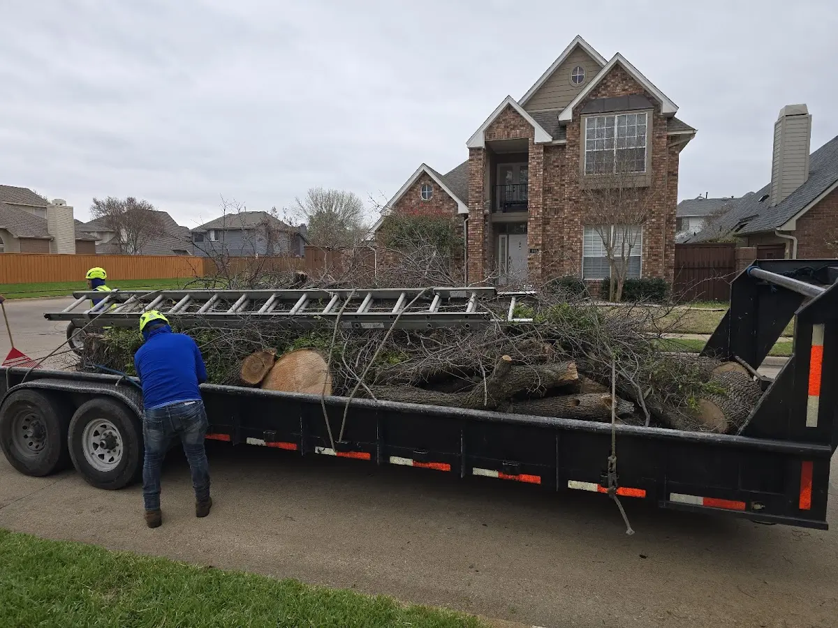 Expert Tree Fertilization with proper safety equipment in Sibley